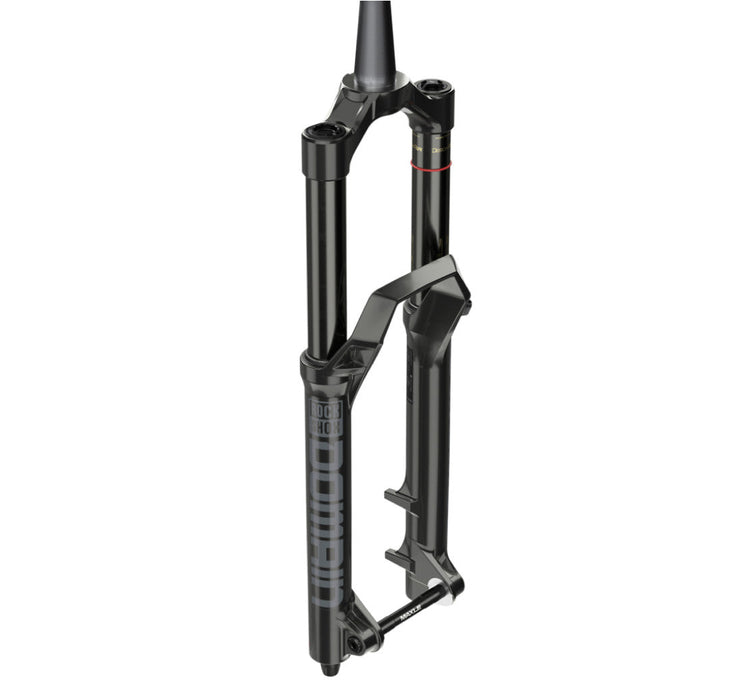 RockShox Domain R Fork